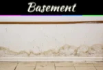 Wet Basement Causes: Top Reasons Your Basement Gets Damp And How To Fix It Top 5 Most Common Causes Of Wet Basement