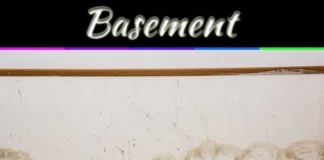 Wet Basement Causes: Top Reasons Your Basement Gets Damp And How To Fix It Top 5 Most Common Causes Of Wet Basement