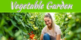 Vegetable Garden Ideas For 2023 Vegetable Garden Ideas For 2023