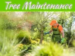 The Benefits Of Tree Maintenance For Your Raising Your Property Value The Benefits Of Tree Maintenance For Your Raising Your Property Value