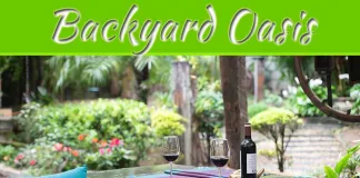 Transform Your Backyard Oasis: A DIY Guide Transform Your Backyard Oasis: A DIY Guide