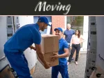 Your Best Moving Companion In The City: NYC’s Friendly Movers Your Best Moving Companion In The City: NYC's Friendly Movers