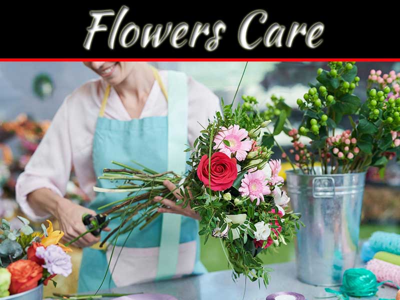 Flower Care Techniques
