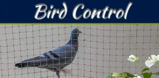 Keeping Your Marina Bird-Free: A Comprehensive Guide Keeping Your Marina Bird-Free: A Comprehensive Guide