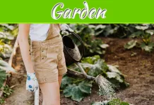 Reviving Your Garden: Tips For Drought Recovery Reviving Your Garden: Tips For Drought Recovery