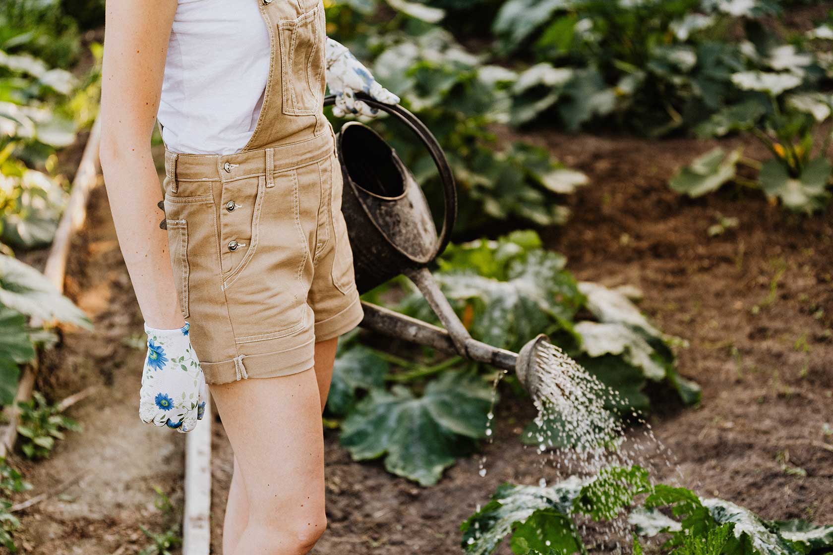 Reviving Your Garden: Tips For Drought Recovery
