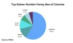 Top States: Number Honey Bee Of Colonies