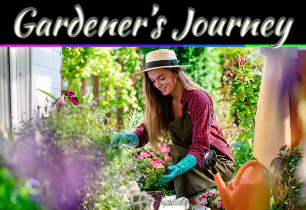 Gardener’s Journey: Nurturing Nature’s Canvas At Home