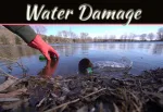 Health Risks Associated With Water-Damaged Environments Health Risks Associated With Water-Damaged Environments