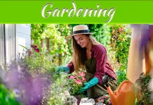 Nurturing Nature’s Canvas: A Gardener’s Journey Nurturing Nature's Canvas: A Gardener's Journey