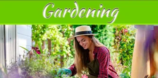 Nurturing Nature’s Canvas: A Gardener’s Journey Nurturing Nature's Canvas: A Gardener's Journey
