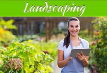 Effective Ways To Market Your Landscaping Business Effective Ways To Market Your Landscaping Business