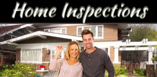 Mold And Home Inspections: What Homebuyers Should Look For Mold And Home Inspections: What Homebuyers Should Look For