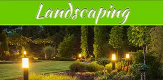 Effectively Incorporating Power Poles In Landscaping Effectively Incorporating Power Poles In Landscaping