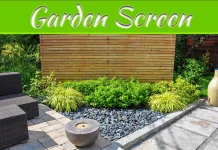 Natural Ways To Screen Your Garden Natural Ways To Screen Your Garden