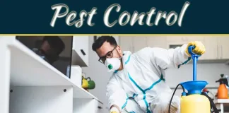 Uninvited Guests: Mastering The Art Of Pest Control In Your Living Space Uninvited Guests: Mastering The Art Of Pest Control In Your Living Space