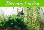 The Art Of Cultivating A Thriving Garden The Art Of Cultivating A Thriving Garden