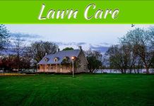 Eco-Friendly Fertilizers For A Healthy Lawn Eco-Friendly Fertilizers For A Healthy Lawn