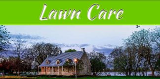 Eco-Friendly Fertilizers For A Healthy Lawn Eco-Friendly Fertilizers For A Healthy Lawn