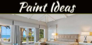 The Palette Of Well-Being: How Your Room’s Paint Color Can Elevate Your Mood The Palette Of Well-Being: How Your Room's Paint Color Can Elevate Your Mood