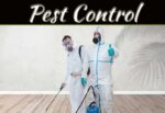 Say Goodbye To Pests: Expert Strategies For Outdoor Spaces