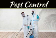 Say Goodbye To Pests: Expert Strategies For Outdoor Spaces Say Goodbye To Pests: Expert Strategies For Outdoor Spaces