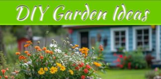 DIY Garden Ideas To Transform Outdoor Spaces On A Budget (2024 Guide) DIY Garden Ideas To Transform Outdoor Spaces On A Budget (2024 Guide)