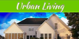 Top Green Home Improvements For Sustainable Urban Living In 2024 Top Green Home Improvements For Sustainable Urban Living In 2024