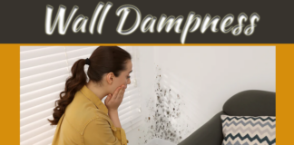 What Causes Wall Dampness? What Causes Wall Dampness?