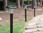 Garden Solar Warm White LED Pathway Landscape Light