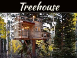 The Magical Experience Of A Treehouse The Magical Experience Of A Treehouse