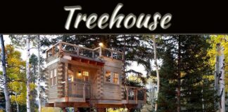 The Magical Experience Of A Treehouse The Magical Experience Of A Treehouse