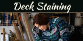 Timeless Charm Meets Practicality: Essential Tips For Maintaining Wooden Frameworks In Home Renovations Timeless Charm Meets Practicality: Essential Tips For Maintaining Wooden Frameworks In Home Renovations