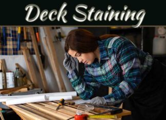 Timeless Charm Meets Practicality: Essential Tips For Maintaining Wooden Frameworks In Home Renovations Timeless Charm Meets Practicality: Essential Tips For Maintaining Wooden Frameworks In Home Renovations