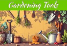 12 Essential Garden Tools For A Healthier, Lush Green Garden 12 Essential Garden Tools For A Healthier, Lush Green Garden