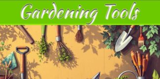 12 Essential Garden Tools For A Healthier, Lush Green Garden 12 Essential Garden Tools For A Healthier, Lush Green Garden