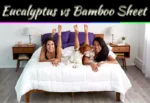 Eucalyptus Sheets vs Bamboo: Which Is Better & Why Eucalyptus Sheets vs Bamboo: Which Is Better & Why