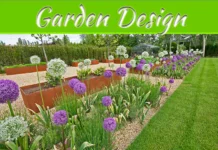 How To Use Native Plants In Your Garden Design How To Use Native Plants In Your Garden Design