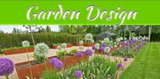 How To Use Native Plants In Your Garden Design How To Use Native Plants In Your Garden Design