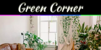 Creating A Home Green Corner: Interior Plants To Style Your Space With Beautiful Living Decor Creating A Home Green Corner: Interior Plants To Style Your Space With Beautiful Living Decor
