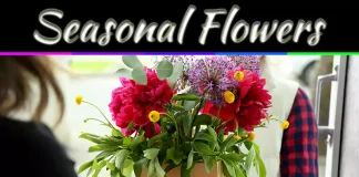 Seasonal Floral Arrangements You Can Order via Flower Delivery in Toronto Seasonal Floral Arrangements You Can Order via Flower Delivery in Toronto