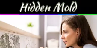 5 Signs Your Cleveland Home May Have Hidden Mold 5 Signs Your Cleveland Home May Have Hidden Mold