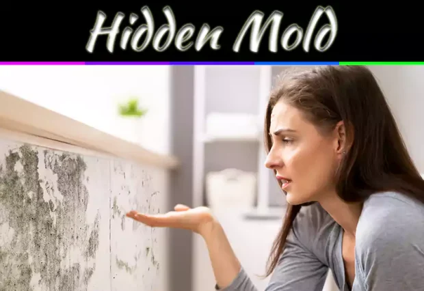5 Signs Your Cleveland Home May Have Hidden Mold