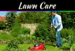 How to Care for Your Lawn After Zeon Zoysia Sod Installation How to Care for Your Lawn After Zeon Zoysia Sod Installation