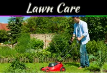 How to Care for Your Lawn After Zeon Zoysia Sod Installation How to Care for Your Lawn After Zeon Zoysia Sod Installation