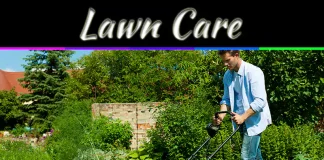 How to Care for Your Lawn After Zeon Zoysia Sod Installation How to Care for Your Lawn After Zeon Zoysia Sod Installation