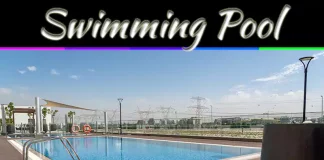 How to Construct a Low Maintenance Swimming Pool that Saves You Time and Money How to Construct a Low Maintenance Swimming Pool that Saves You Time and Money